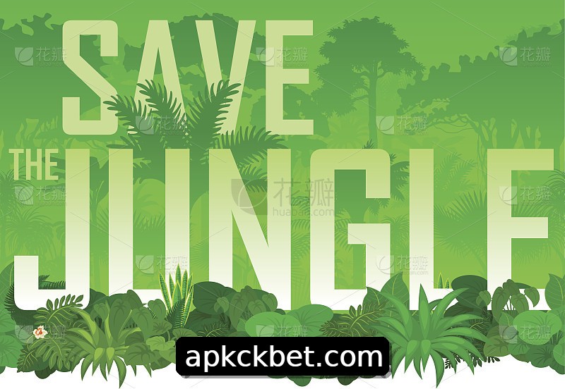 Integração de APIs ckbet
